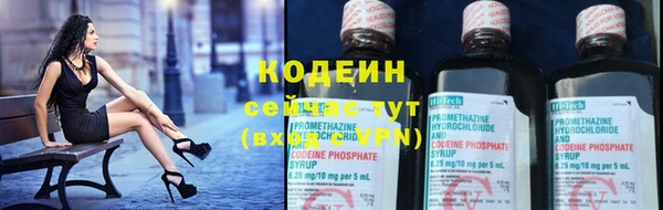 шишки Вязники