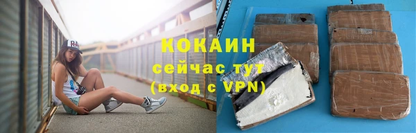 шишки Вязники