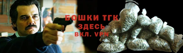 шишки Вязники