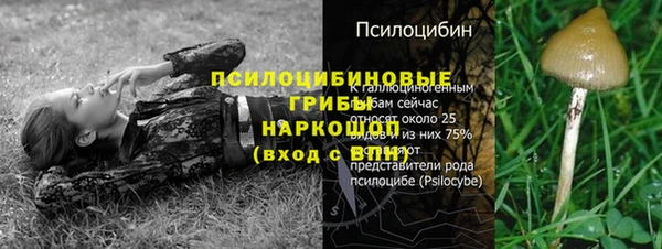 ALPHA PVP Горнозаводск