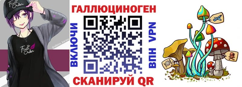 наркотики  Каспийск  blacksprut tor  Псилоцибиновые грибы Magic Shrooms 